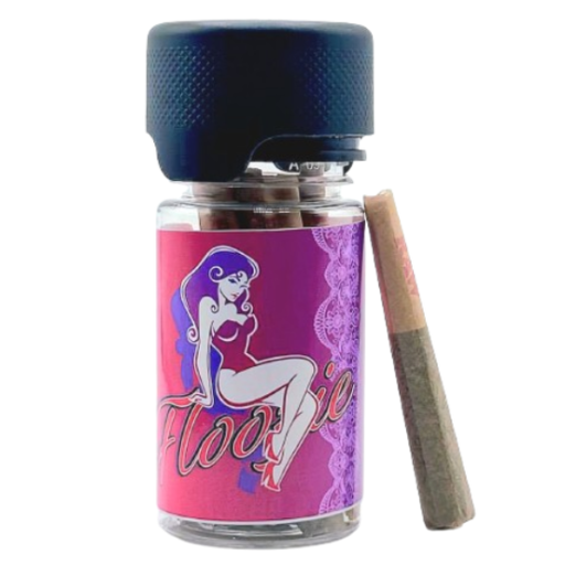 Floozie - 26.02% - 10 - 0.5g Infused Pre Rolls - RARE MICHIGAN GENETICS - Sativa
