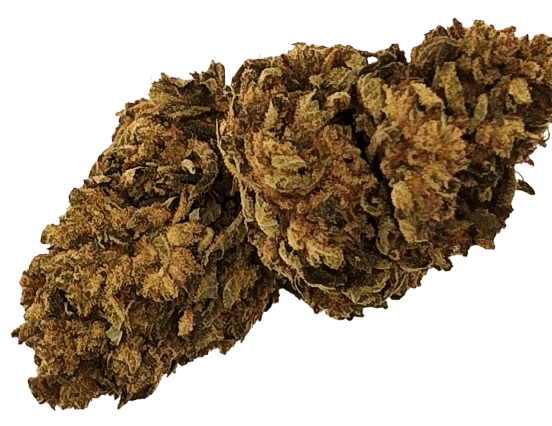 product-main-img-1240.png