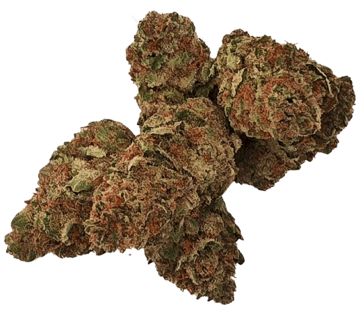 Wilson Zero - 23.02% - Bud - GROW HAVEN - Sativa