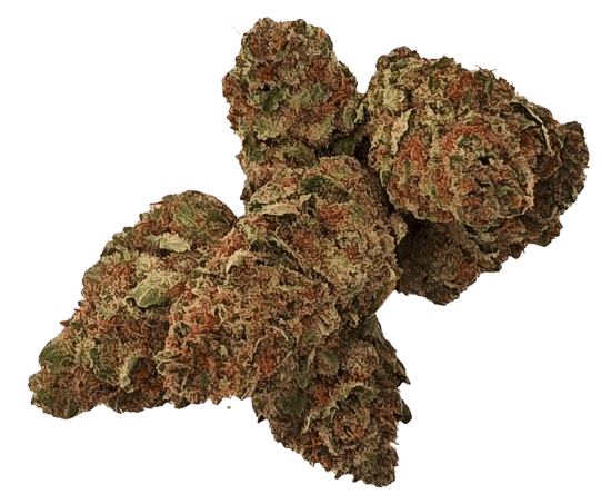 product-main-img-1264.png
