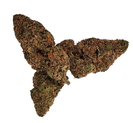 Dogwalker X Horchata - 26.501% - Bud - RIPE HERB - Hybrid