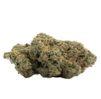 Durban Poison - 23.7% - Bud - RIPE HERB - Sativa